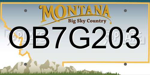 OB7G203 Montana License Plate