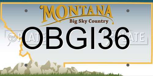 OBGI36 Montana License Plate