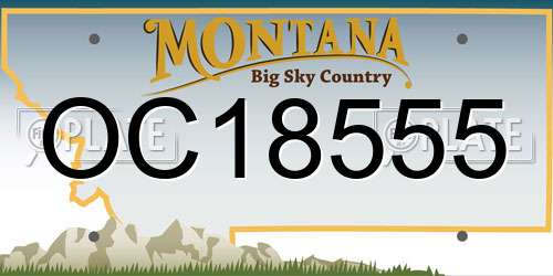 OC18555 Montana License Plate