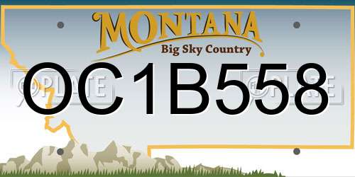 OC1B558 Montana License Plate