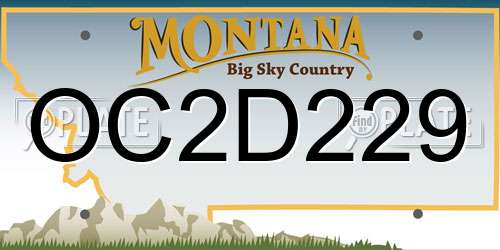 OC2D229 Montana License Plate