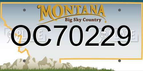 OC70229 Montana License Plate