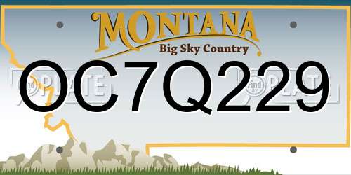 OC7Q229 Montana License Plate