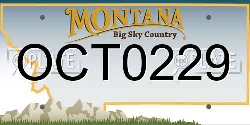 OCT0229 Montana License Plate