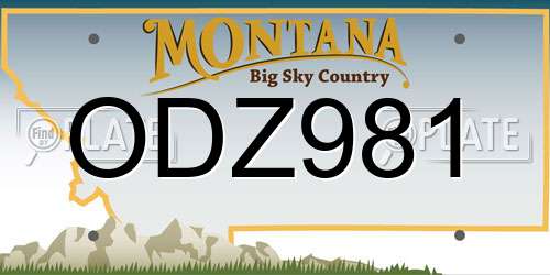 ODZ981 Montana License Plate