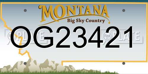 OG23421 Montana License Plate