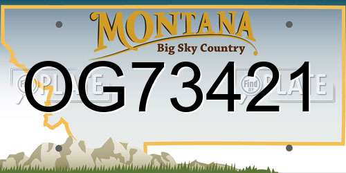 OG73421 Montana License Plate