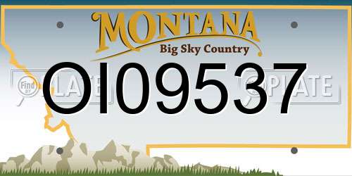 OI09537 Montana License Plate