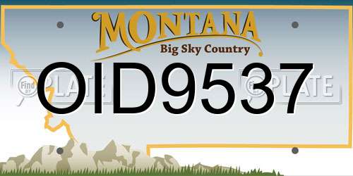 OID9537 Montana License Plate