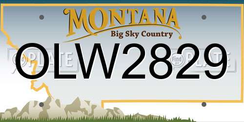 OLW2829 Montana License Plate