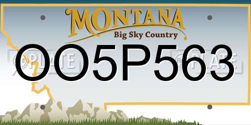 OO5P563 Montana License Plate