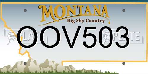 OOV503 Montana License Plate
