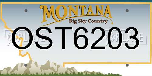 OST6203 Montana License Plate