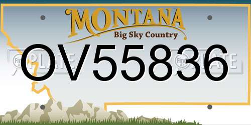 OV55836 Montana License Plate