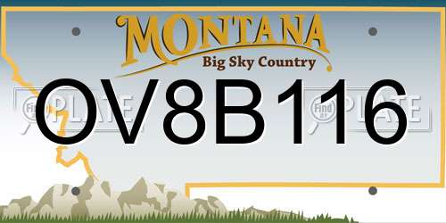 OV8B116 Montana License Plate