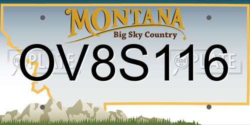 OV8S116 Montana License Plate