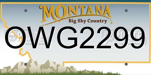 OWG2299 Montana License Plate