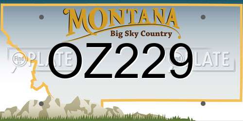 OZ229 Montana License Plate