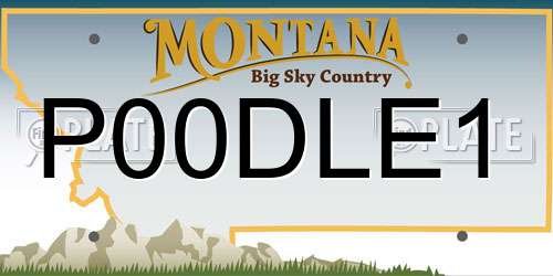 P00DLE1 Montana License Plate