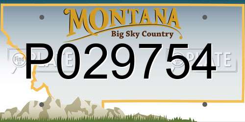 P029754 Montana License Plate