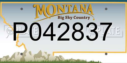 P042837 Montana License Plate