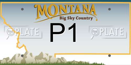 P1 Montana License Plate