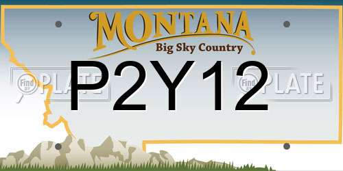 P2Y12 Montana License Plate