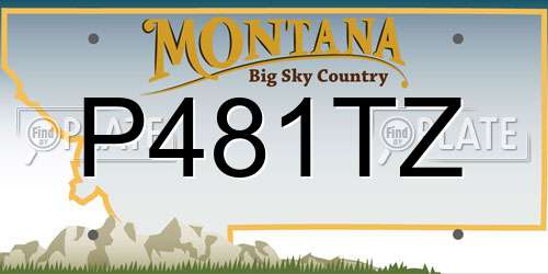 P481TZ Montana License Plate