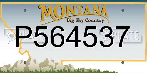 P564537 Montana License Plate