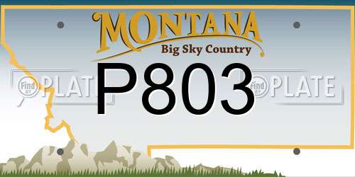 P803 Montana License Plate