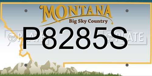 P8285S Montana License Plate