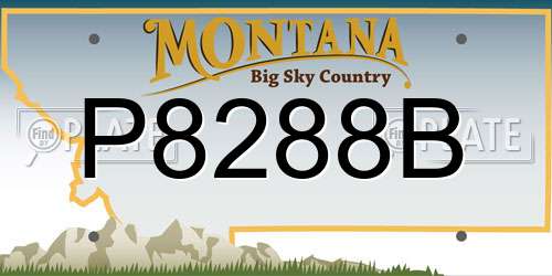 P8288B Montana License Plate