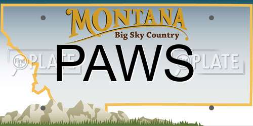 PAWS Montana License Plate