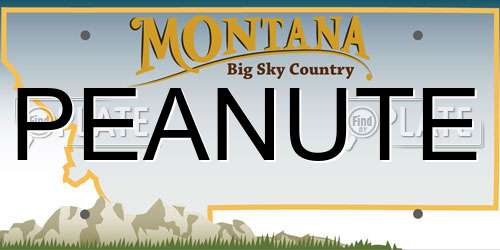 PEANUTE Montana License Plate