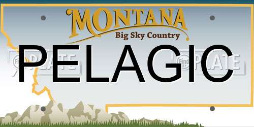 PELAGIC Montana License Plate