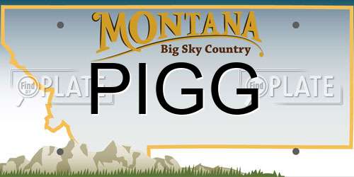 PIGG Montana License Plate
