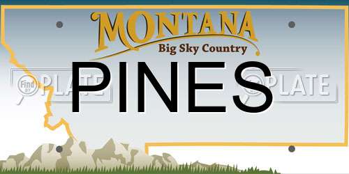 PINES Montana License Plate