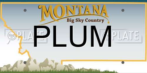 PLUM Montana License Plate