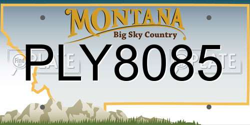 PLY8085 Montana License Plate