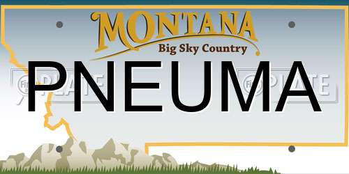 PNEUMA Montana License Plate