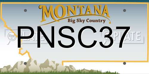 PNSC37 Montana License Plate
