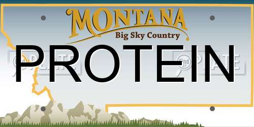 PROTEIN Montana License Plate