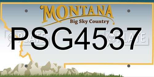 PSG4537 Montana License Plate