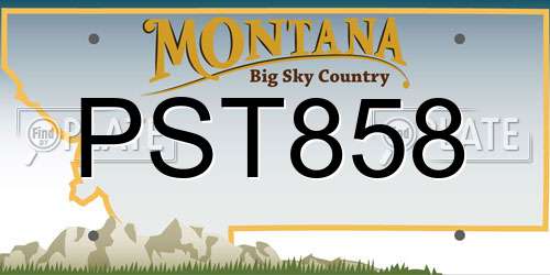 PST858 Montana License Plate