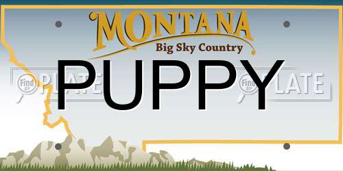 PUPPY Montana License Plate