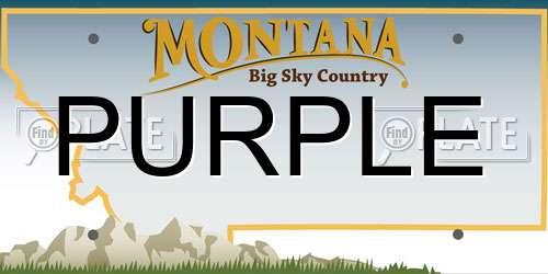 PURPLE Montana License Plate