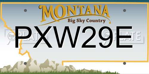 PXW29E Montana License Plate