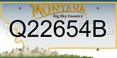 Q22654B Montana License Plate