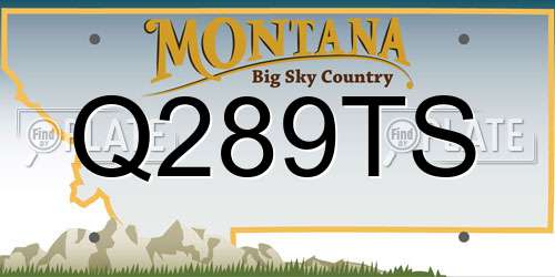 Q289TS Montana License Plate