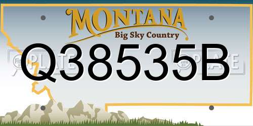 Q38535B Montana License Plate